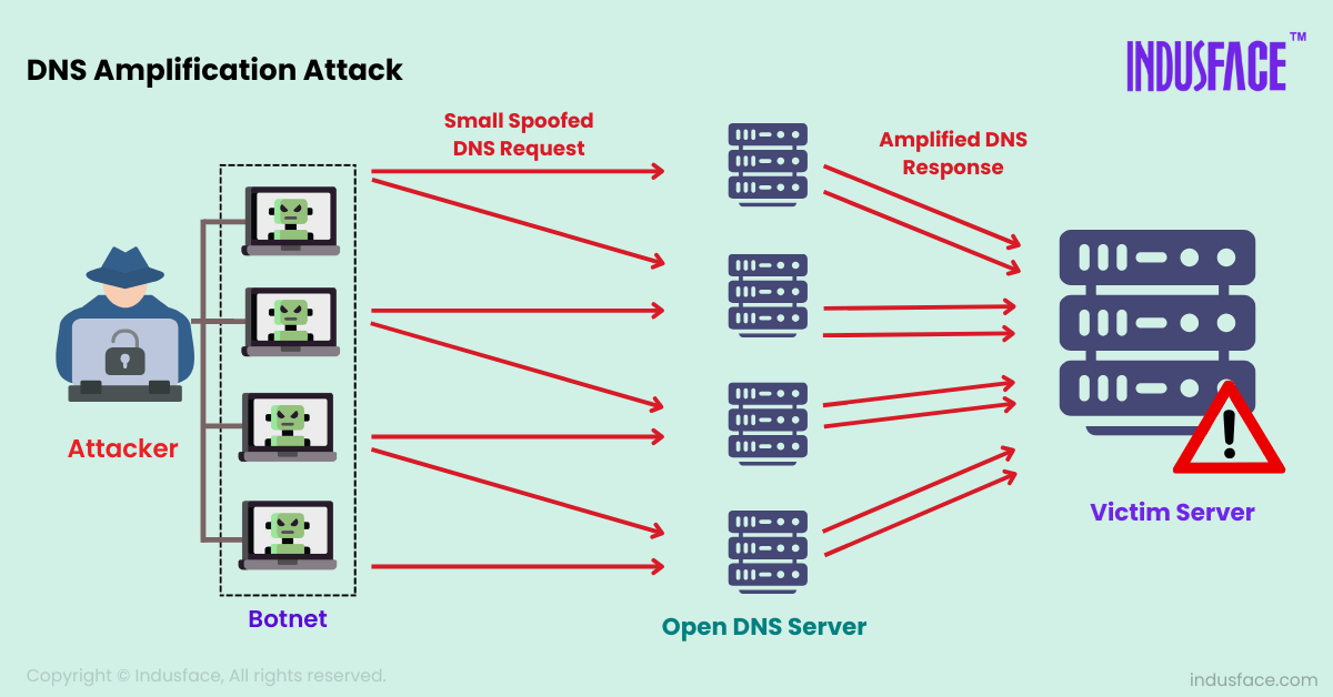 How does a DNS reflection-amplification attack work?