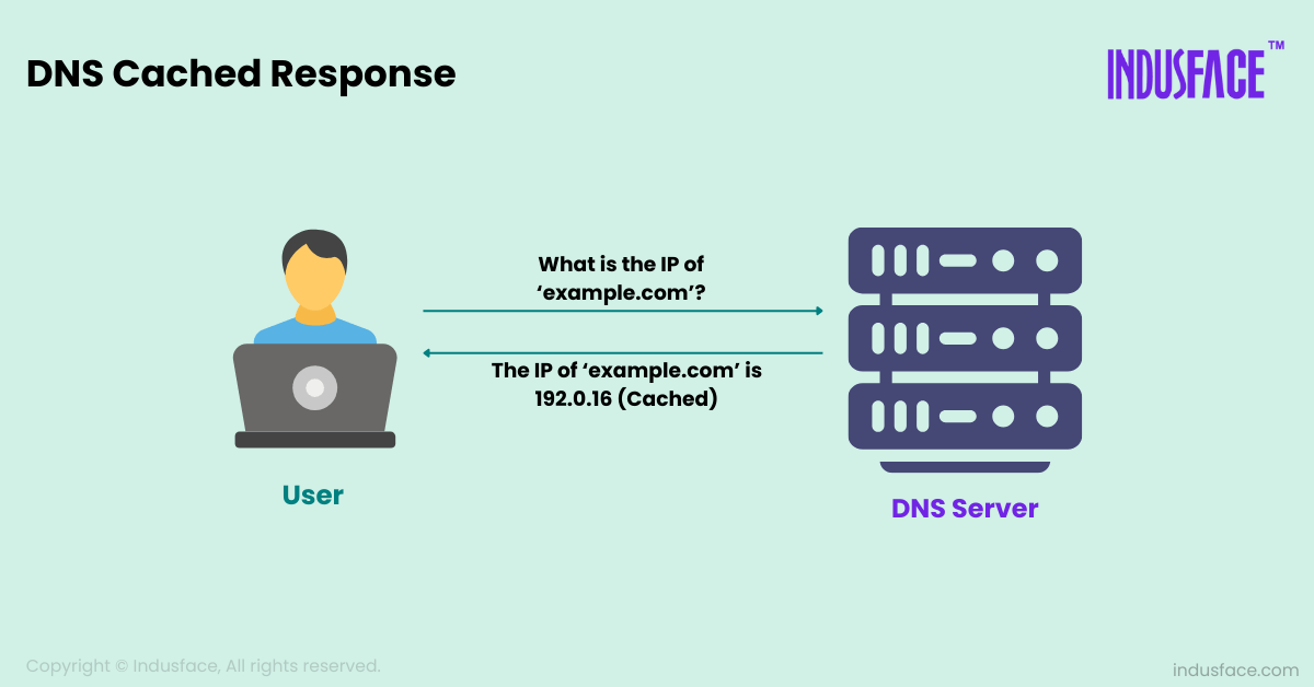 DNS caching process showing stored DNS query results for faster access.