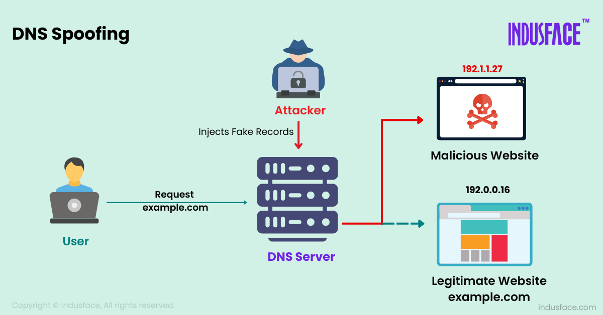 How does a DNS Spoofing Attack work?