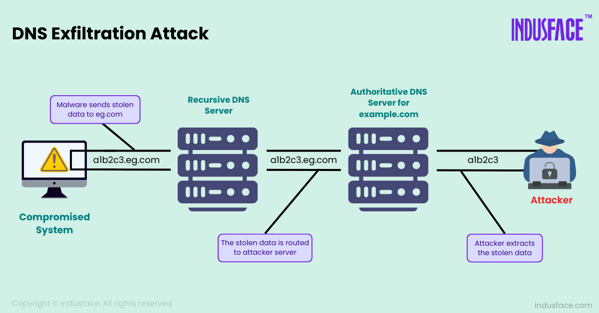 How does a DNS Exfiltration Attack Work?